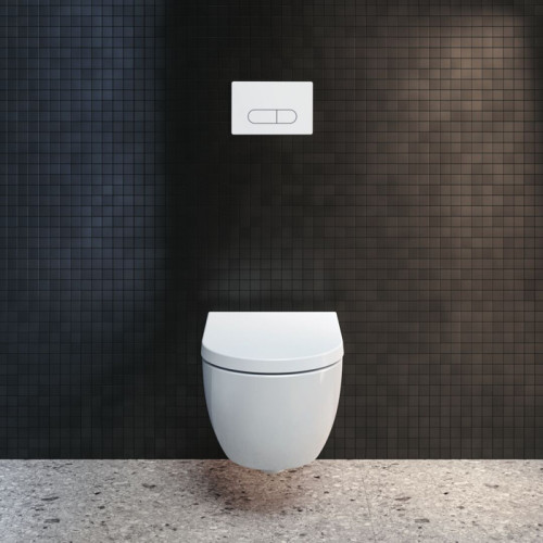 Ideal Standard Oleas M1 Механическая панель смыва, двойной смыв, цвет: белый глянец