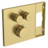 Ideal Standard Ceratherm Navigo Solos Смеситель для душа, встраиваемый, термостатический, без комплектом EASY-BOX A1000NU, цвет: PVD Brushed Gold