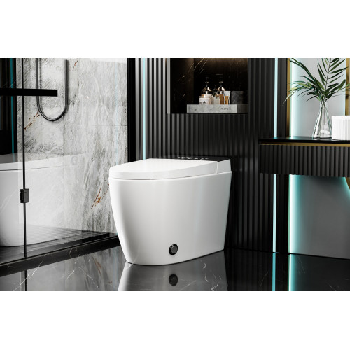 Электронный унитаз-биде ABBER Bequem AC1116S приставной белый