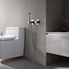 AQ1319CR ЕВРОПА комплект для гигиенического душа встроенный 2 отв. (смеситель + гигиеническая лейка + шланг)