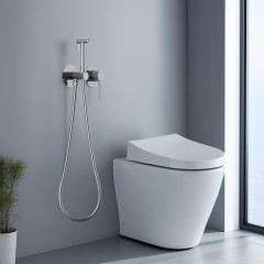 AQ1319CR ЕВРОПА комплект для гигиенического душа встроенный 2 отв. (смеситель + гигиеническая лейка + шланг)