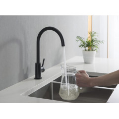 AQ1382MB ЕВРОПА смеситель для кухни, матовый черный