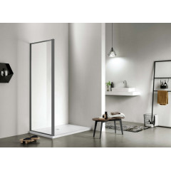 AQ ARI WA 09020GM Неподвижная душевая стенка 900x2000, для комбинации с дверью, профиль оружейная сталь, стекло прозрачное