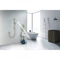 AQ2012BG ЕВРОПА душевой гарнитур 1jet 65 см, шлиф. золото