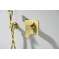 AQ1266BG ОБЕРОН смеситель для душа 1 режим (внешняя и скрытая часть), шлиф. золото