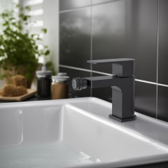 AQ1418MB ЛИРА смеситель для биде, матовый черный