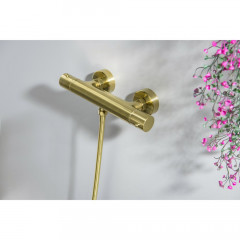 AQ1363BG ЕВРОПА термостатический смеситель для душа, шлиф. золото