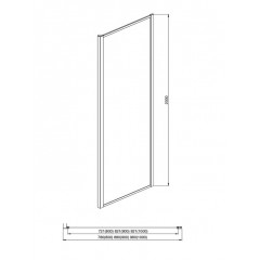 AQ ARI WA 10020GM Неподвижная душевая стенка 1000x2000, для комбинации с дверью, профиль оружейная сталь, стекло прозрачное
