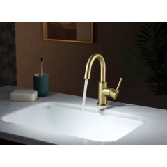 AQ1307BG ЕВРОПА смеситель для раковины, без донного клапана, шлиф. золото