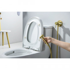 AQ1021BG ЕВРОПА комплект для гигиенического душа встроенный (смеситель + гигиеническая лейка + шланг), шлиф. золото