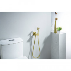 AQ1024BG ОБЕРОН комплект для гигиенического душа встроенный (смеситель c прогрессивным картриджем + гигиеническая лейка + шланг), шлиф. золото