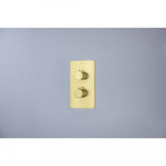 AQ1392BG ЕВРОПА термостатический смеситель для ванны 2 режима (внешняя и скрытая часть), шлиф. золото