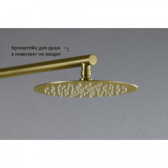 AQ2073BG круглый верхний душ 250*2 мм, шлиф. золото
