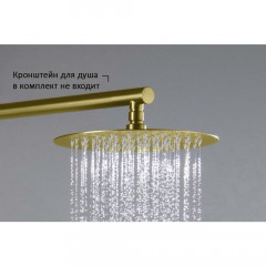 AQ2073BG круглый верхний душ 250*2 мм, шлиф. золото