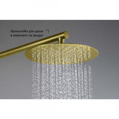 AQ2073BG круглый верхний душ 250*2 мм, шлиф. золото