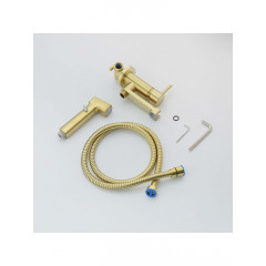 AQ1819BG НИКА комплект для гигиенического душа встроенный (смеситель + гигиеническая лейка + шланг), шлиф.золото