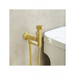 AQ1819BG НИКА комплект для гигиенического душа встроенный (смеситель + гигиеническая лейка + шланг), шлиф.золото