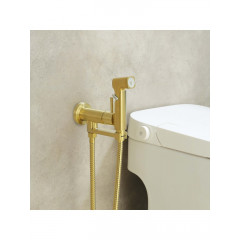 AQ1819BG НИКА комплект для гигиенического душа встроенный (смеситель + гигиеническая лейка + шланг), шлиф.золото