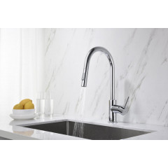 AQ1384CR ЕВРОПА смеситель для кухни с вытяжным изливом 2 jet