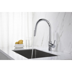 AQ1384CR ЕВРОПА смеситель для кухни с вытяжным изливом 2 jet