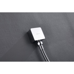 AQ2459CR шланговое подсоединение