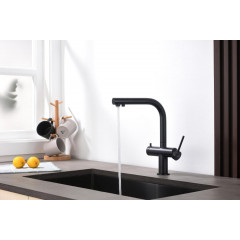 AQ1385MB ЕВРОПА смеситель для кухни с подключением к фильтру питьевой воды, матовый черный