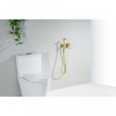 AQ1220BG ОБЕРОН комплект для гигиенического душа встроенный 2 отв. (смеситель + гигиеническая лейка + шланг), шлиф. золото