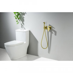 AQ1220BG ОБЕРОН комплект для гигиенического душа встроенный 2 отв. (смеситель + гигиеническая лейка + шланг), шлиф. золото