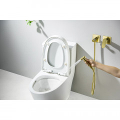 AQ1220BG ОБЕРОН комплект для гигиенического душа встроенный 2 отв. (смеситель + гигиеническая лейка + шланг), шлиф. золото