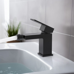 AQ1618MB ЛИБРА смеситель для биде, матовый черный