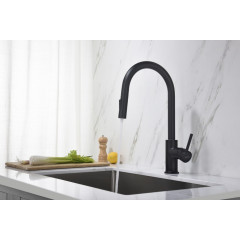 AQ1384MB ЕВРОПА смеситель для кухни с вытяжным изливом 2 jet, матовый черный