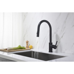 AQ1384MB ЕВРОПА смеситель для кухни с вытяжным изливом 2 jet, матовый черный