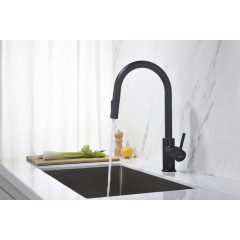 AQ1384MB ЕВРОПА смеситель для кухни с вытяжным изливом 2 jet, матовый черный