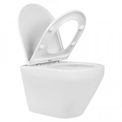 AQ1199T-00 ЛЕЯ Унитаз подвесной TORNADO 490*360*320мм, тонкое сиденье с механизмом плавного закрывания, крепеж