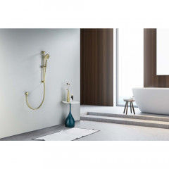 AQ2016BG ОБЕРОН душевой гарнитур 3jet 65 см, шлиф. золото