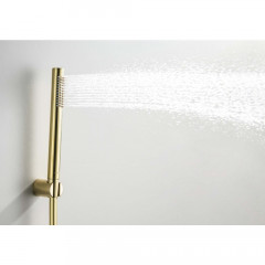 AQ2034BG ЕВРОПА душевой набор 1jet, шлиф. золото