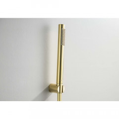 AQ2034BG ЕВРОПА душевой набор 1jet, шлиф. золото