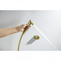 AQ2054BG гигиенический ручной душ со шлангом 120 см и держателем, шлиф. золото
