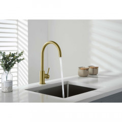 AQ1382BG ЕВРОПА смеситель для кухни, шлиф. золото