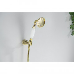 AQ2008PG КЛАССИК ручной душ 65 1jet, полир. золото