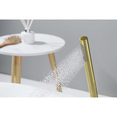 AQ2002BG ЕВРОПА ручной душ 1jet, шлиф. золото