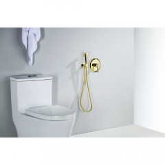 AQ1519PG КЛАССИК набор с гигиеническим душем (смеситель + гигиеническая лейка + шланг + шланговое подсоединение с держателем), полир. золото