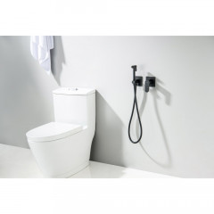 AQ1220MB ОБЕРОН комплект для гигиенического душа встроенный 2 отв. (смеситель + гигиеническая лейка + шланг), матовый черный