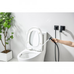 AQ1420MB ЛИРА комплект для гигиенического душа встроенный 2 отв. (смеситель + гигиеническая лейка + шланг), матовый черный