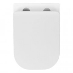 AQ2012B-00 ДИВА Унитаз подвесной безободковый с функцией биде (смеситель в компл) 510*350*360мм, тонкое сиденье soft-close, крепеж