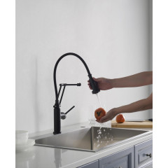 AQ1388MB ЕВРОПА смеситель для кухни 2 jet (профессиональный), матовый черный