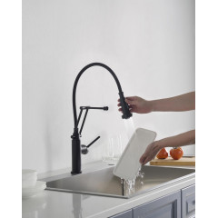 AQ1388MB ЕВРОПА смеситель для кухни 2 jet (профессиональный), матовый черный