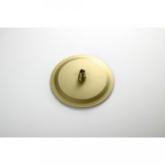 AQ1273BG ОБЕРОН Set 4 в 1 душевой комплект 3 режима, шлиф. золото