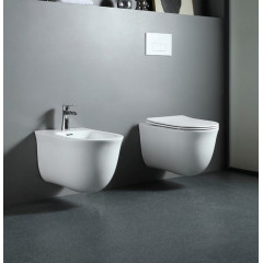 AQ1160-00 КЛАССИК биде подвесное525*365*340