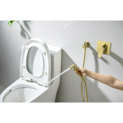 AQ1219BG ОБЕРОН набор с гигиеническим душем (смеситель + гигиеническая лейка + шланг + шланговое подсоединение с держателем), шлиф. золото